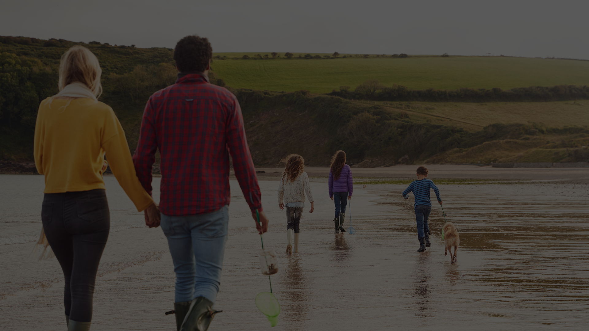 ncseguros1-particulares